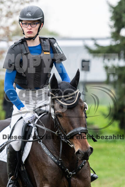 Goldene Schärpe 2020 - Pferde