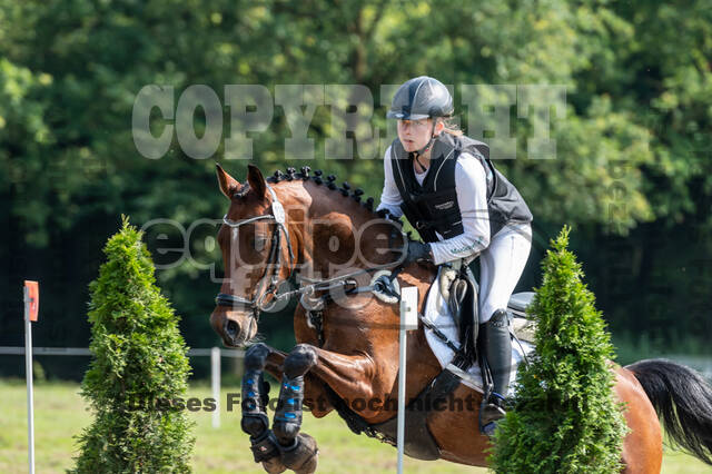 Goldene Schärpe 2021 - Ponys