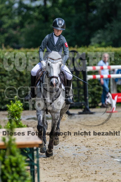Goldene Schärpe 2021 - Ponys