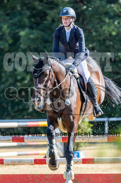 RFV Dinslaken-Hiesfeld (Herbstturnier)