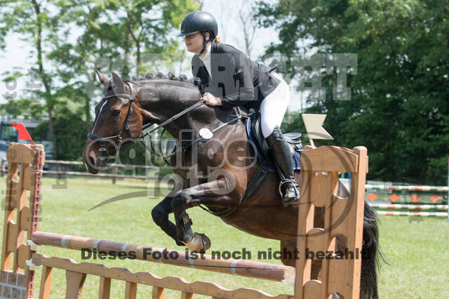 Vielseitigkeitsturnier ZRuFV von Lützow Hamminkeln