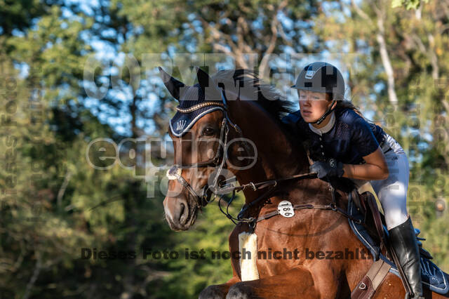RFV Dinslaken-Hiesfeld (Herbstturnier)