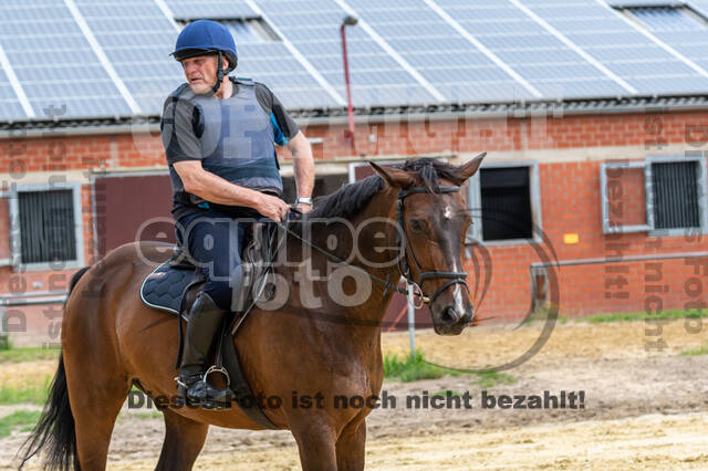 Hunter Geländetraining 10.07.2021 (Sonsbeck)