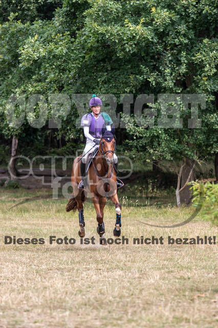 Late-Entry Vielseitigkeit Hamminkeln/Wesel (01.+02.08.2020)