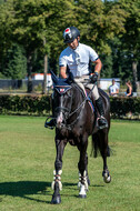 Kronenberg - De Peelbergen (August 2020)