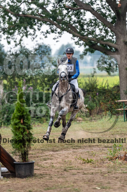 De Peelbergen (August 2020)