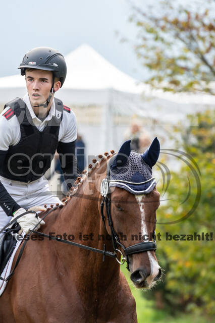 Goldene Schärpe 2020 - Pferde