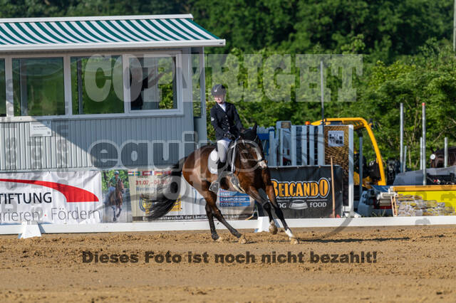 Westerstede Horse Trials 2021