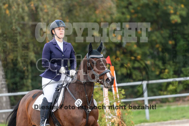 Goldene Schärpe 2020 - Pferde