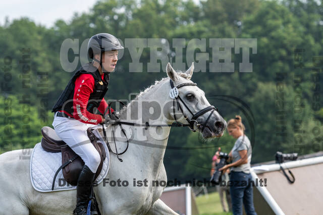 Goldene Schärpe 2021 - Ponys