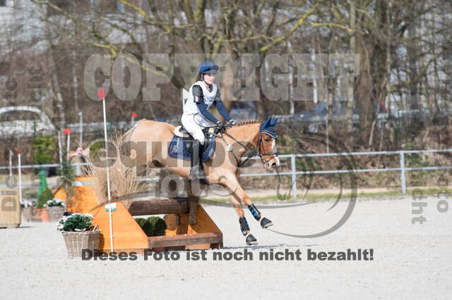 Eventing Langenfeld 2018