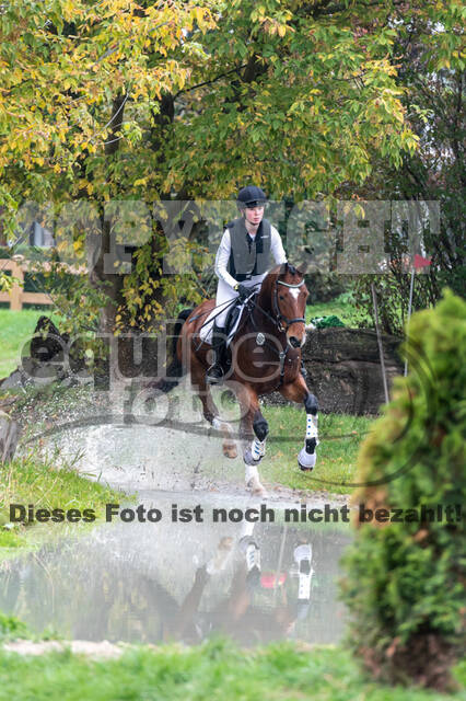 Goldene Schärpe 2020 - Pferde