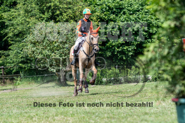 Goldene Schärpe 2021 - Ponys