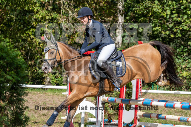 RFV Dinslaken-Hiesfeld (Herbstturnier)