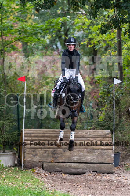 Goldene Schärpe 2020 - Pferde