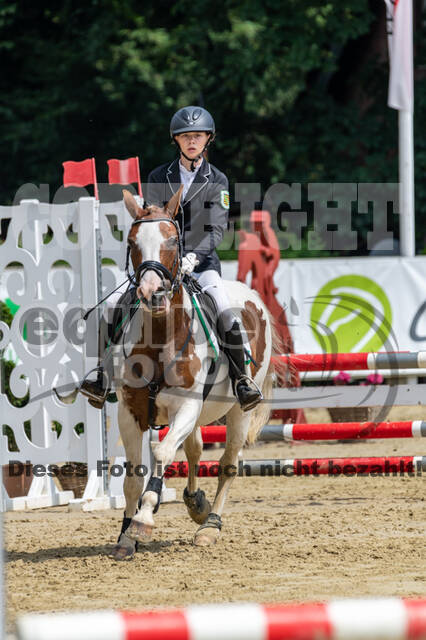 Goldene Schärpe 2021 - Ponys