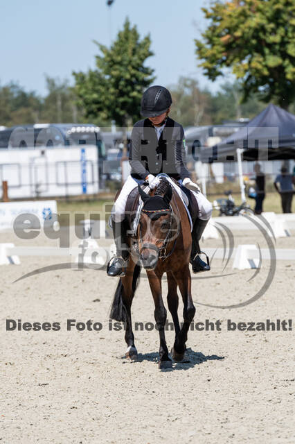 Kronenberg - De Peelbergen (August 2020)