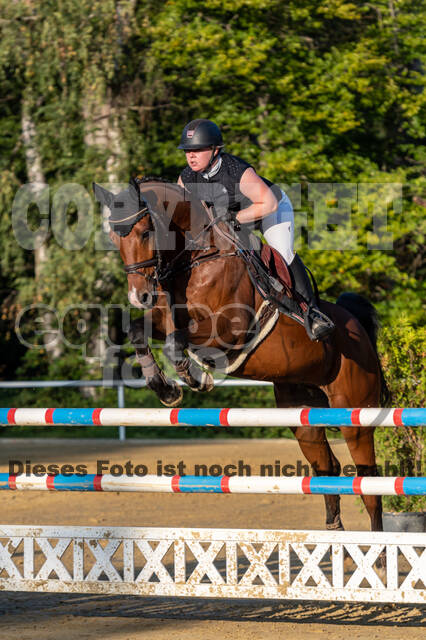RFV Dinslaken-Hiesfeld (Herbstturnier)