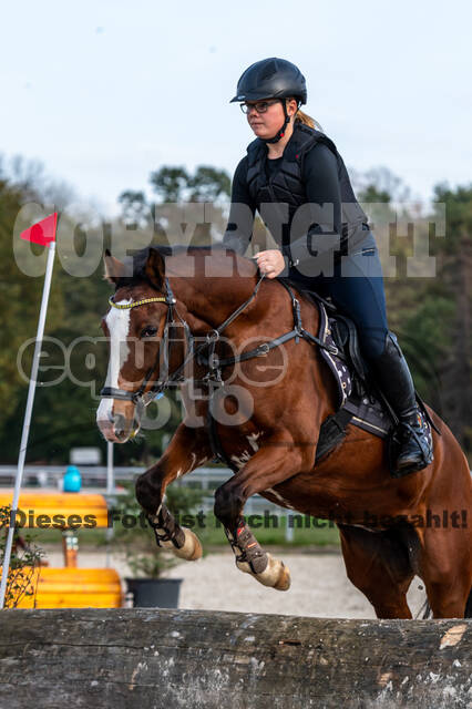 IGV Lehrgang der Sieger der Cups mit Frank Ostholt