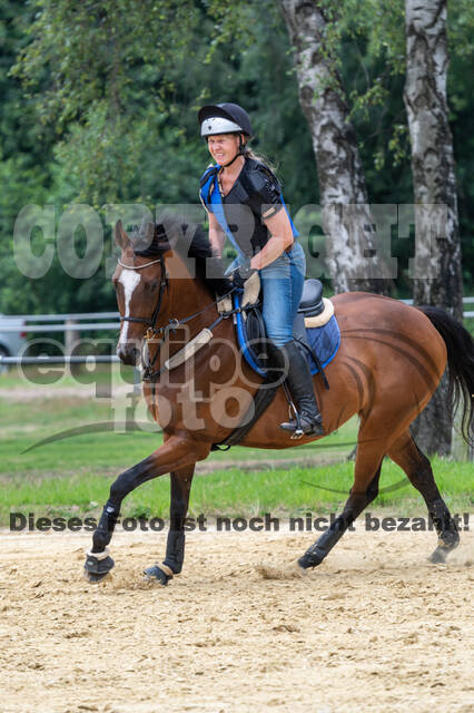 Hunter Geländetraining 10.07.2021 (Sonsbeck)