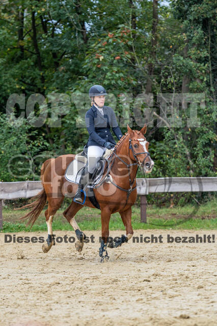 Vielseitigkeit RSV Wesel Obrighoven (26.+27.09.2020)