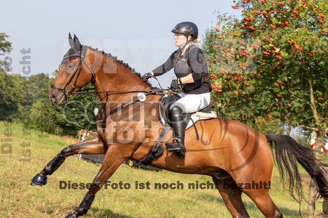 Late-Entry-Vielseitigkeit Gahlen (18.07.2020)