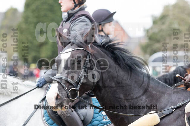 Geländetraining RSV St. Hubertus Wesel Obrighoven