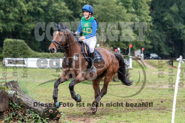 Vielseitigkeit RSV Wesel Obrighoven (26.+27.09.2020)