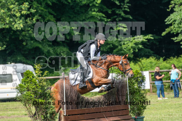 Goldene Schärpe 2021 - Ponys