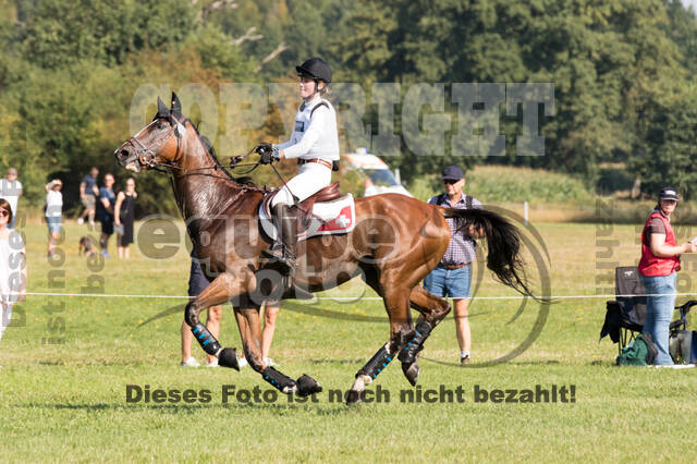 FEI European Championship Eventing 2019