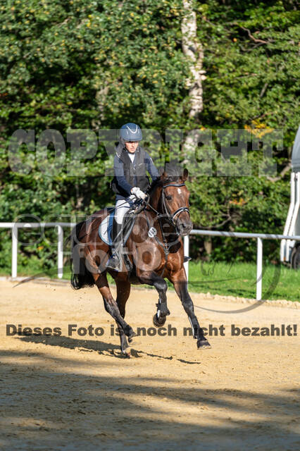 RFV Dinslaken-Hiesfeld (Herbstturnier)