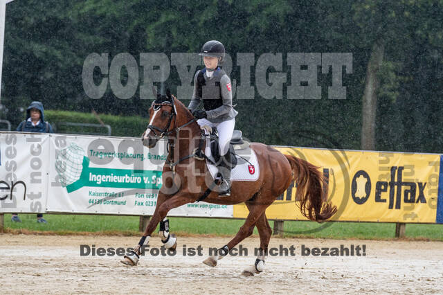 Goldene Schärpe 2021 - Ponys