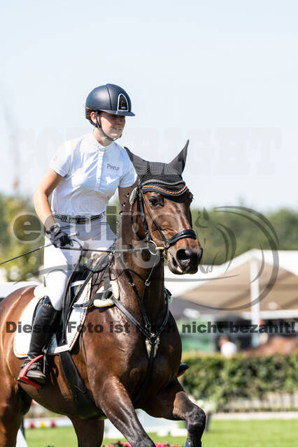 Kronenberg - De Peelbergen (August 2020)