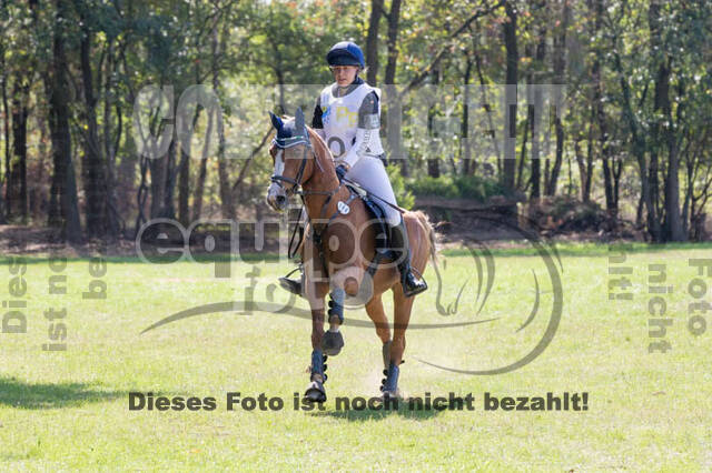 Vielseitigkeitsturnier RSV St. Hubertus Wesel Obrighoven