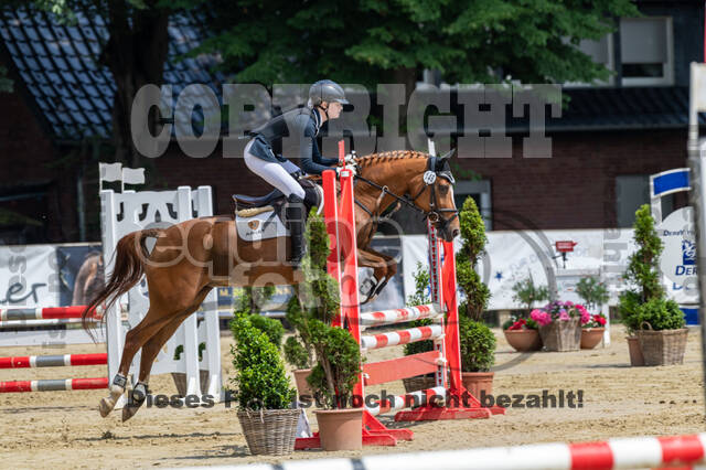 Goldene Schärpe 2021 - Ponys