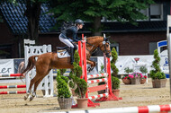 Goldene Schärpe 2021 - Ponys