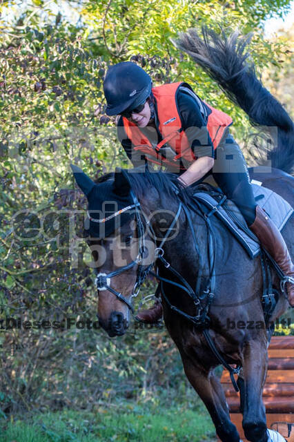Vielseitigkeitslehrgang mit Jürg Kurbel (9.+10.11.2019)