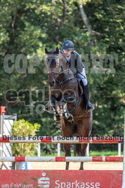 RFV Dinslaken-Hiesfeld (Herbstturnier)