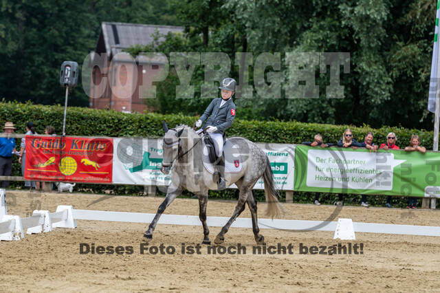 Goldene Schärpe 2021 - Ponys