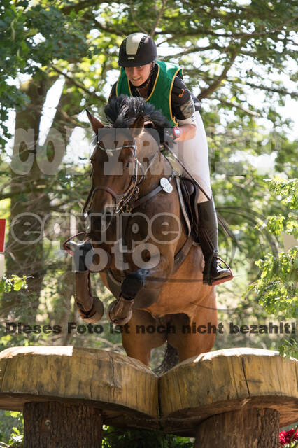 Vielseitigkeitsturnier ZRuFV von Lützow Hamminkeln