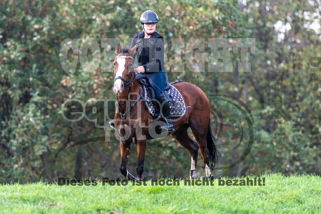 IGV Lehrgang der Sieger der Cups mit Frank Ostholt