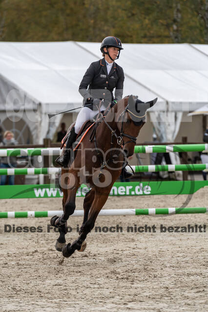 Deutsche Meisterschaft Vielseitigkeit (Luhmühlen)