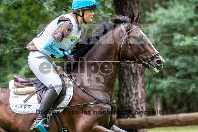 Vielseitigkeit RSV Wesel Obrighoven (26.+27.09.2020)