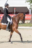 FEI European Championship Eventing 2017