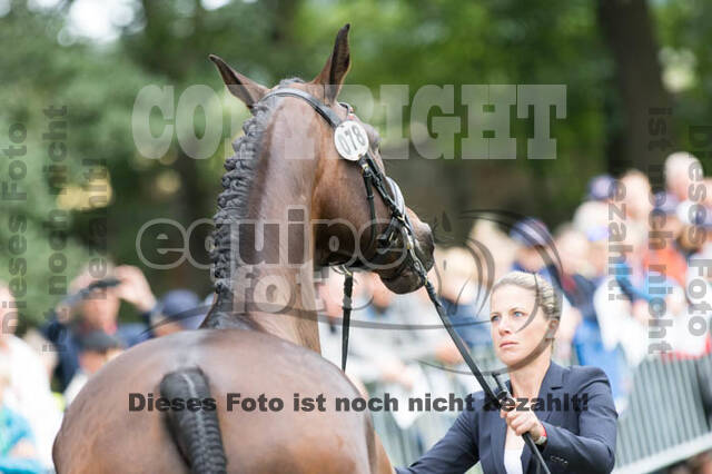 FEI European Championship Eventing 2017