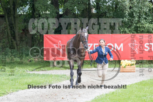 FEI European Championship