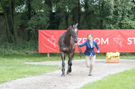 FEI European Championship
