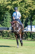 Kronenberg - De Peelbergen (August 2020)