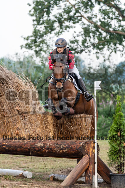 De Peelbergen (August 2020)