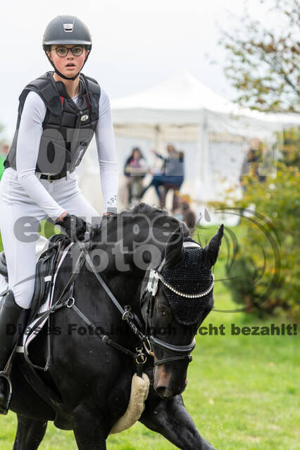 Goldene Schärpe 2020 - Pferde